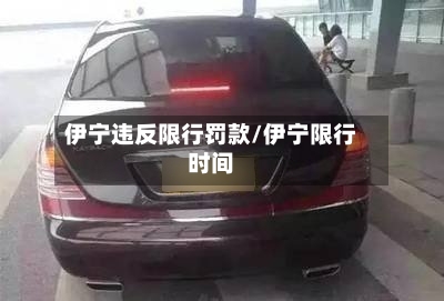 伊宁违反限行罚款/伊宁限行时间-第2张图片