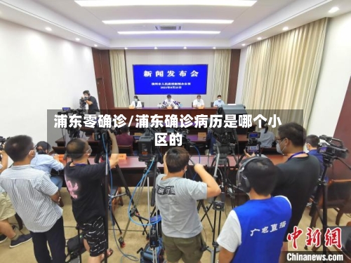 浦东零确诊/浦东确诊病历是哪个小区的