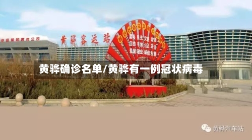 黄骅确诊名单/黄骅有一例冠状病毒-第2张图片