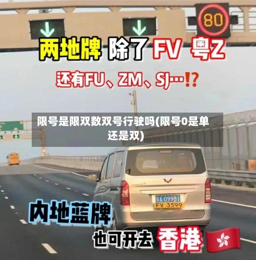 限号是限双数双号行驶吗(限号0是单还是双)-第2张图片