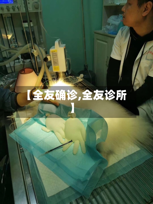 【全友确诊,全友诊所】
